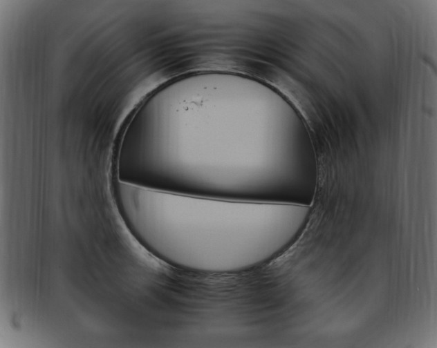 X0000094081139200710190912