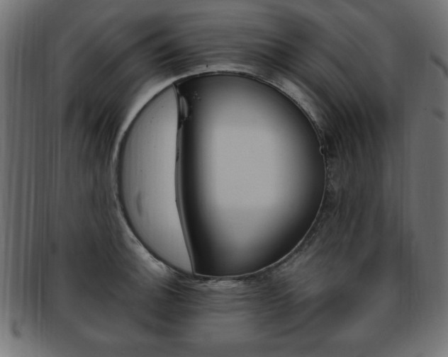 X0000094081140200710190912