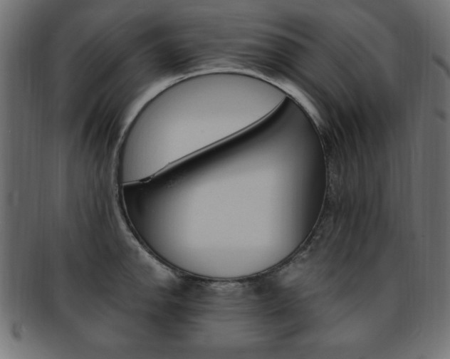 X0000094081142200710190912
