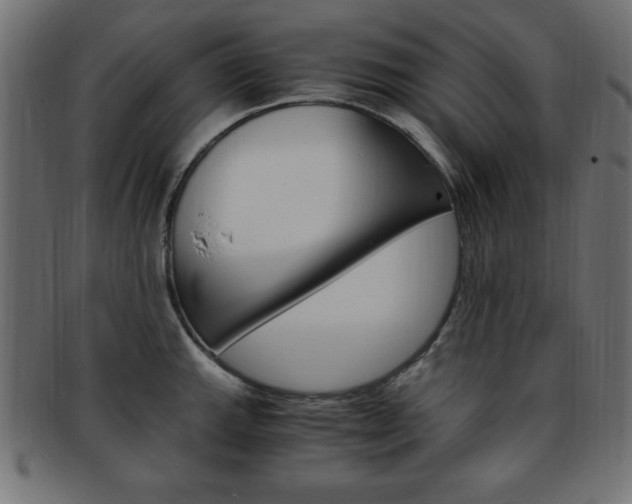 X0000094081143200710190912