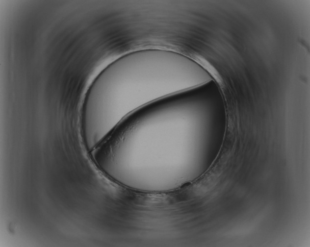 X0000094081144200710190912