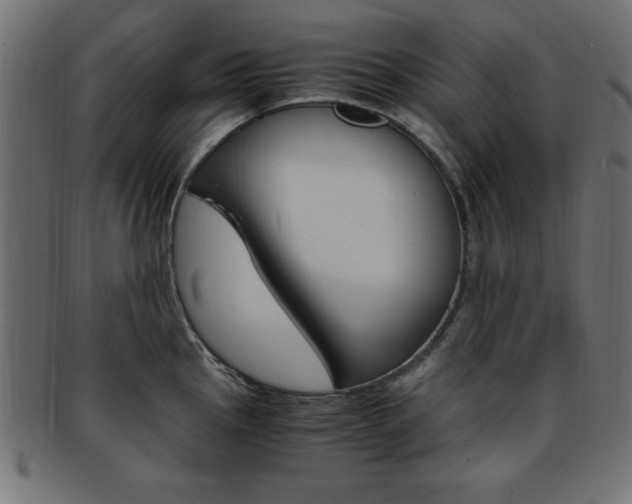 X0000094081145200710190912