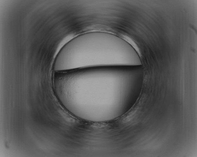 X0000094081146200710190912