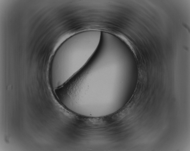 X0000094081147200710190912