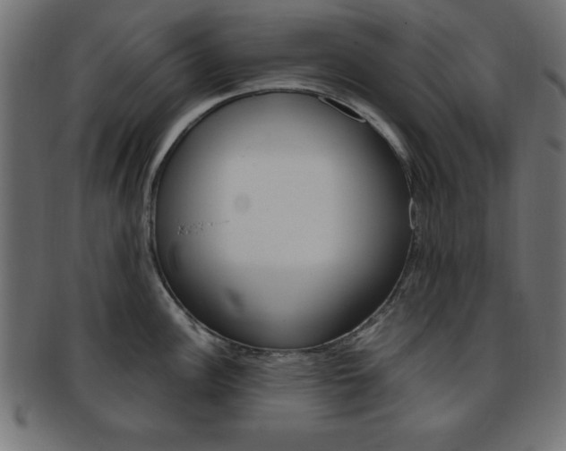 X0000094081148200710190912