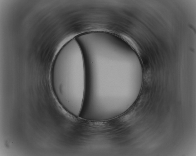 X0000094081149200710190912