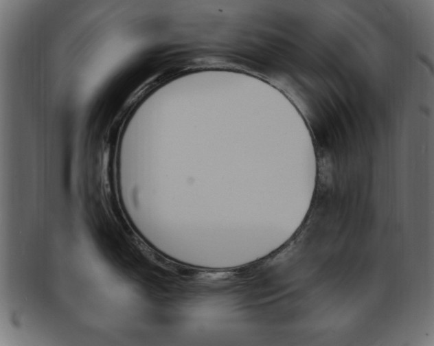 X0000094081150200710190912
