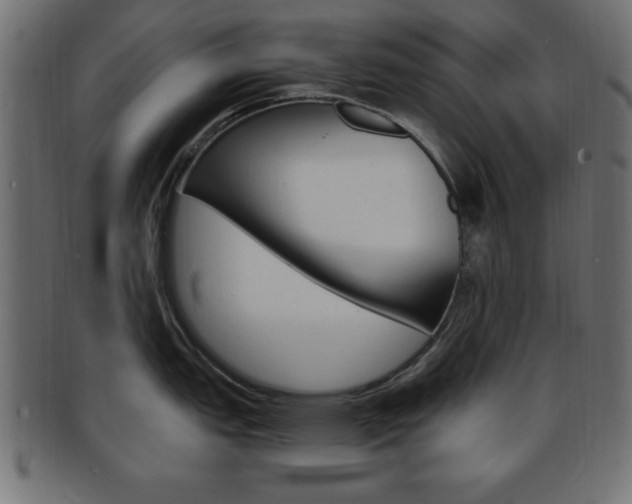 X0000094081151200710190912