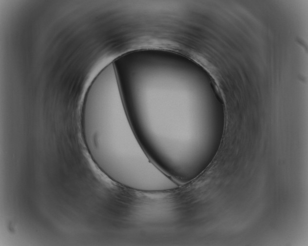 X0000094081152200710190912