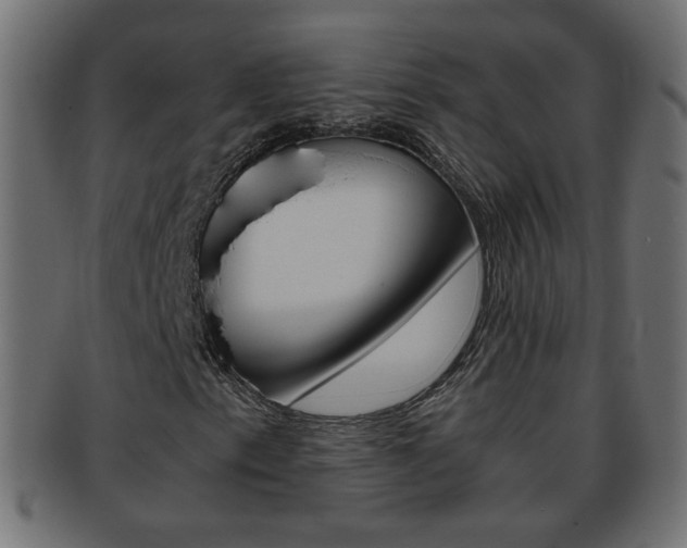 X0000094081153200710190911