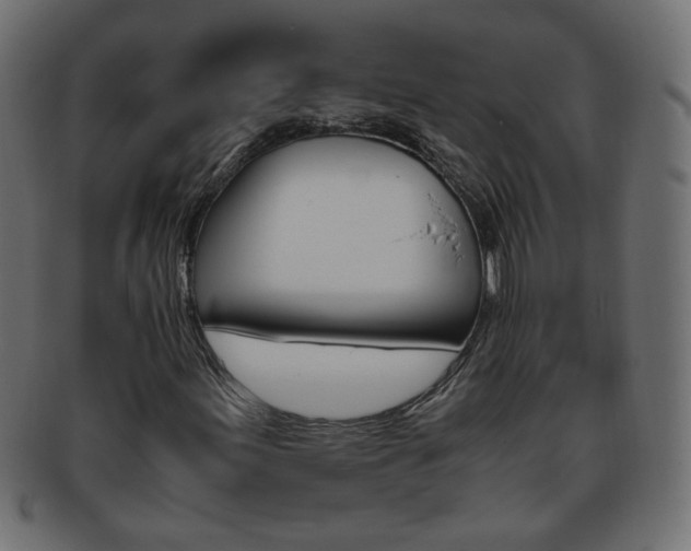 X0000094081155200710190911