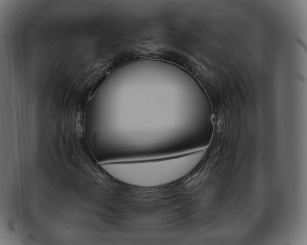 X0000094081156200710190911