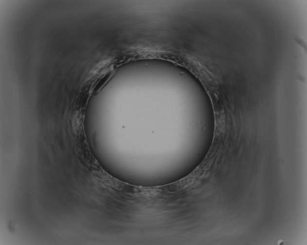 X0000094081157200710190911