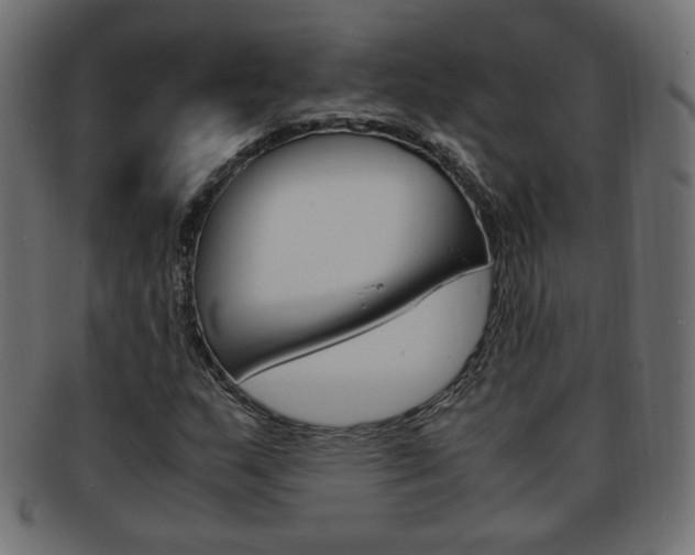 X0000094081159200710190911