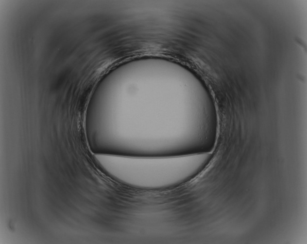 X0000094081161200710190911
