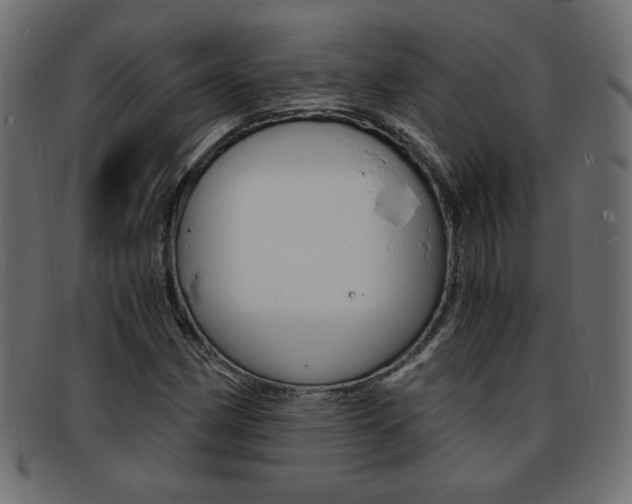 X0000094081162200710190911