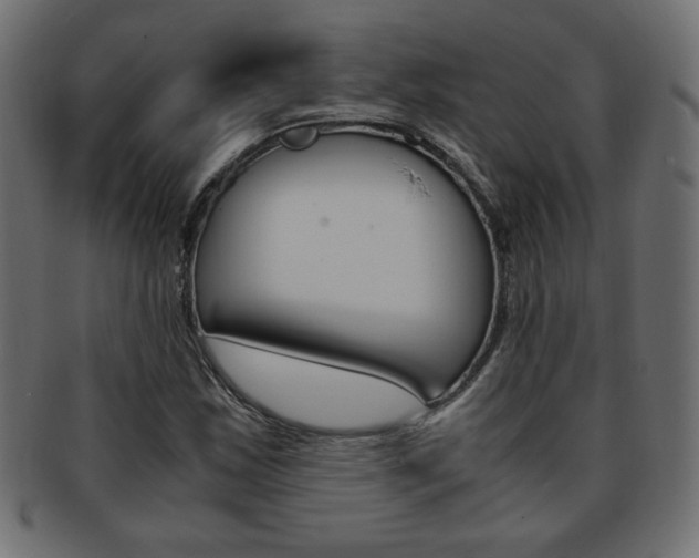 X0000094081163200710190911
