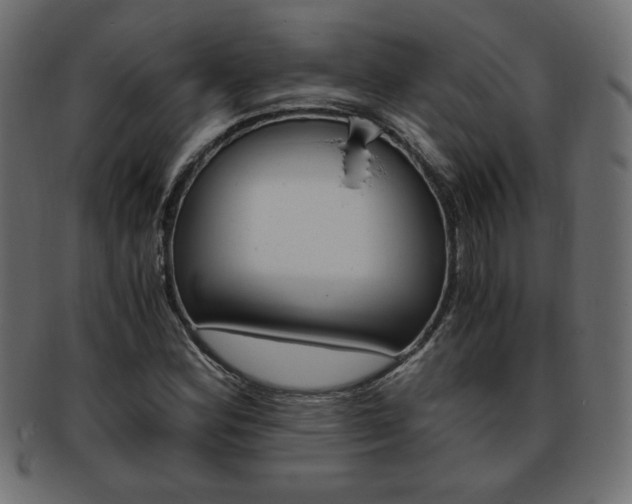 X0000094081164200710190911