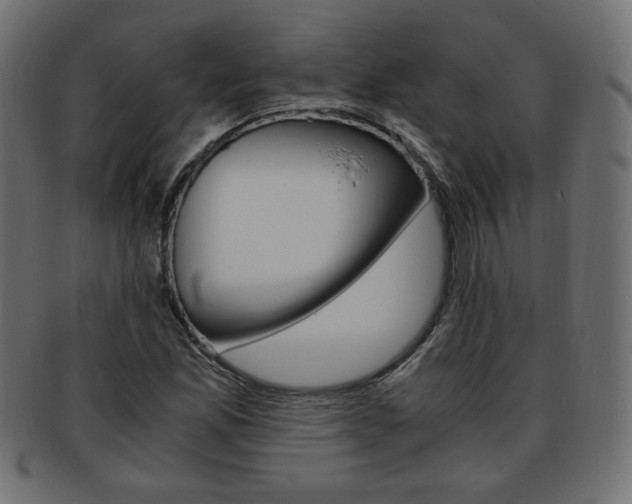 X0000094081165200710190911