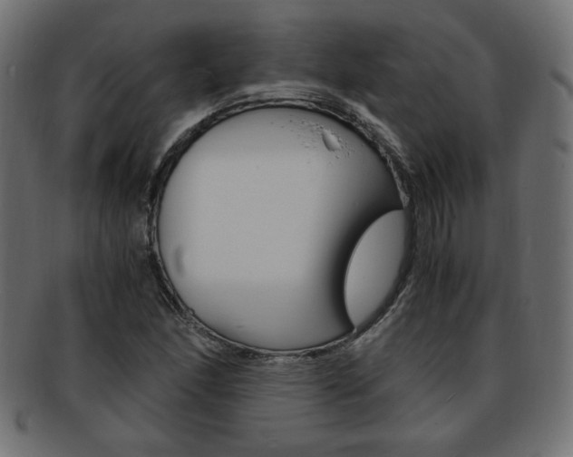 X0000094081166200710190911