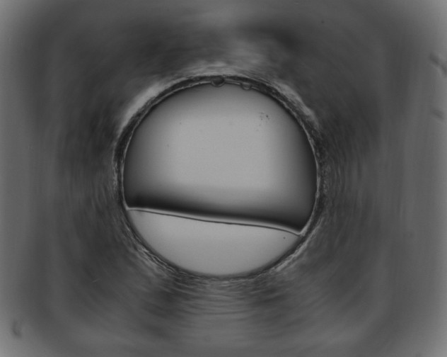 X0000094081167200710190911