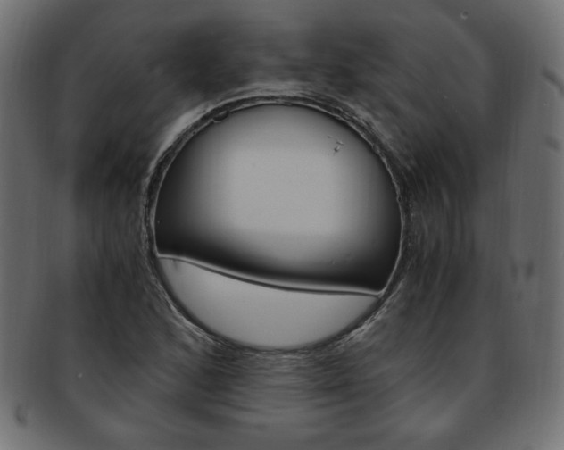 X0000094081168200710190911