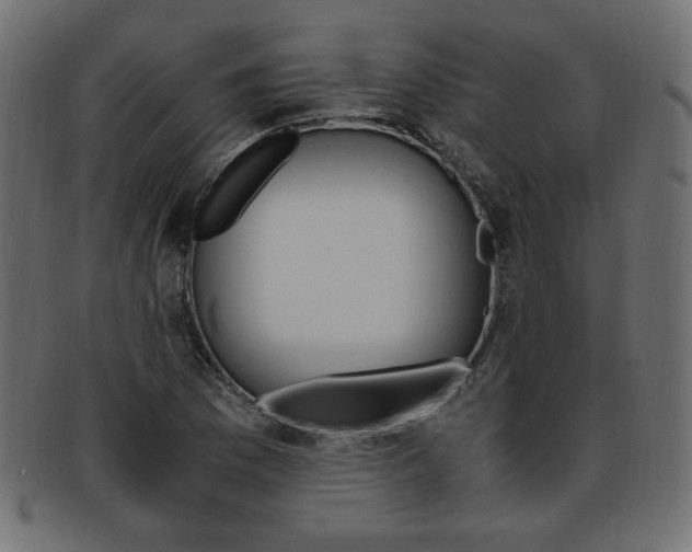 X0000094081169200710190911