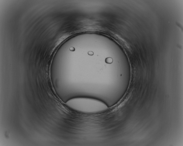 X0000094081170200710190911