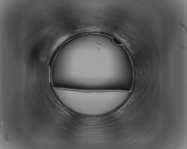 X0000094081171200710190911