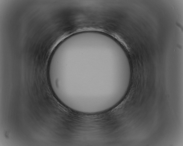X0000094081173200710190911