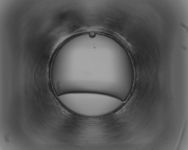 X0000094081174200710190911