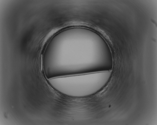 X0000094081175200710190911