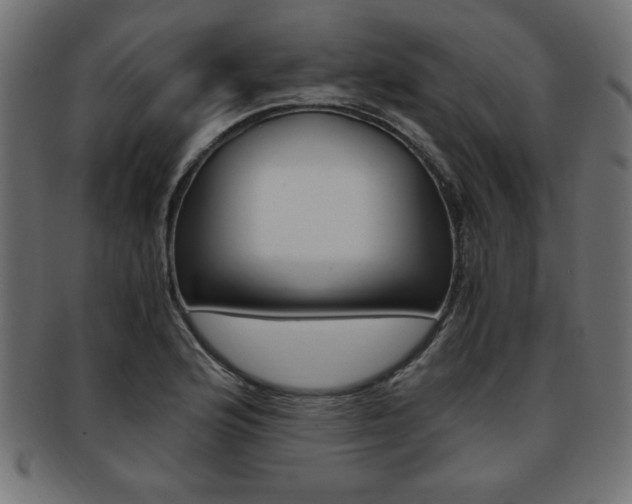 X0000094081176200710190911