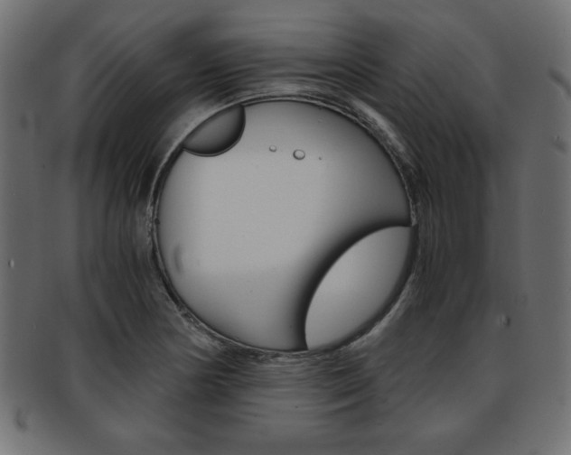 X0000094081178200710190911