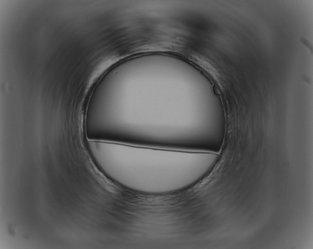 X0000094081179200710190911