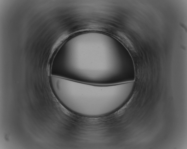 X0000094081180200710190911