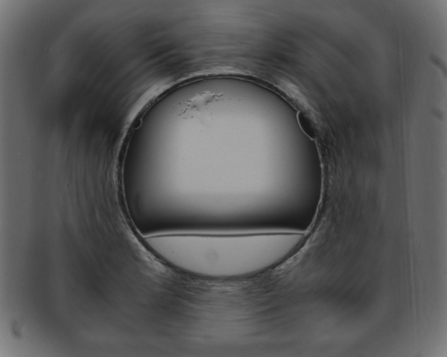 X0000094081181200710190911