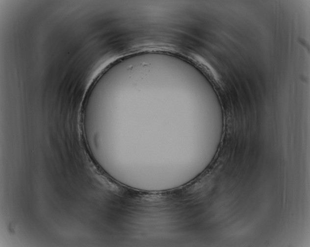 X0000094081182200710190911