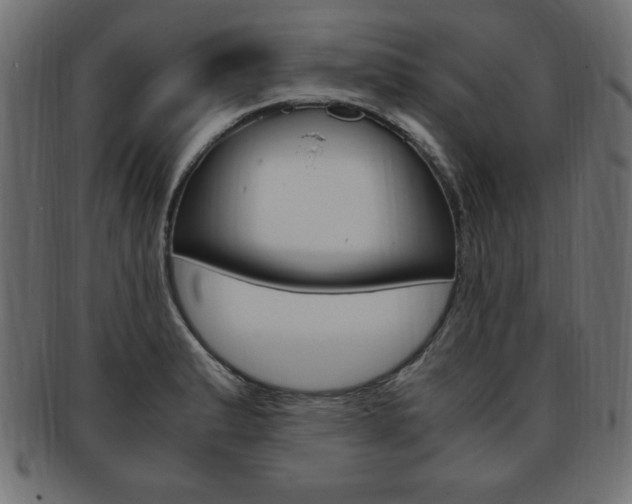 X0000094081183200710190911