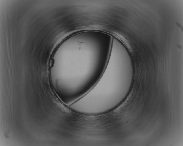 X0000094081184200710190911