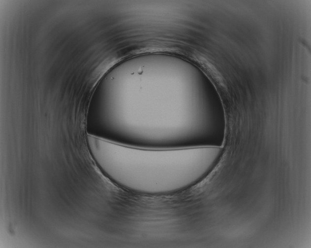 X0000094081185200710190911