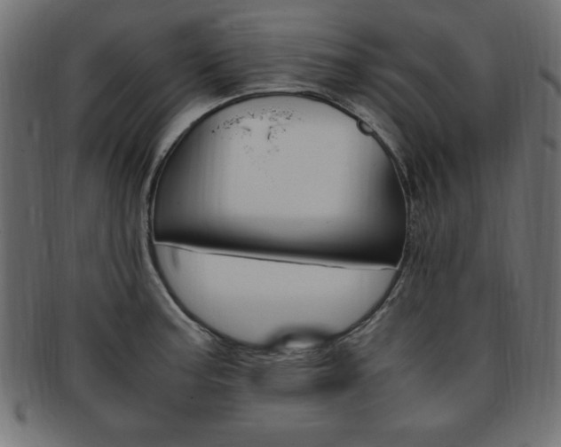 X0000094081187200710190911