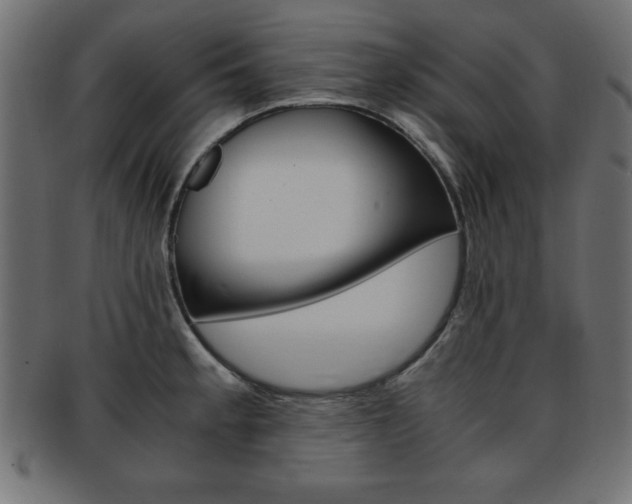 X0000094081189200710190911