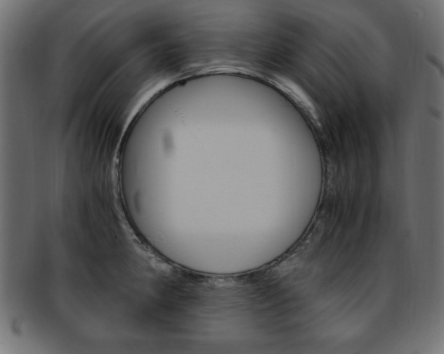 X0000094081190200710190911