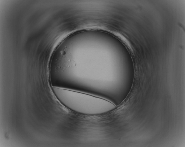 X0000094081191200710190911