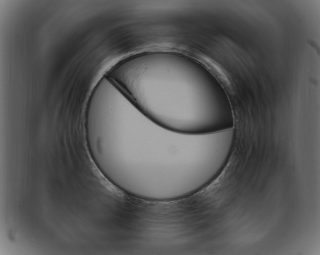 X0000094081192200710190911