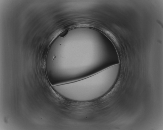 X0000094081193200710190911