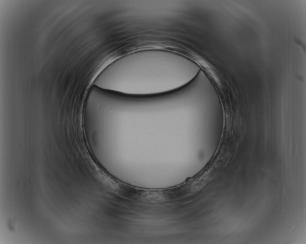 X0000094081194200710190911