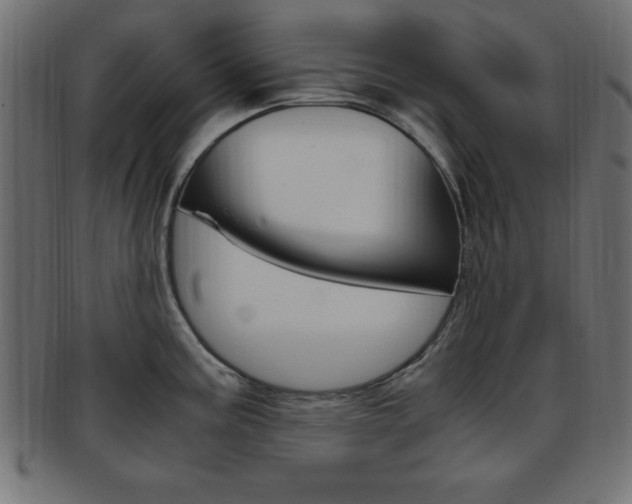 X0000094081195200710190911