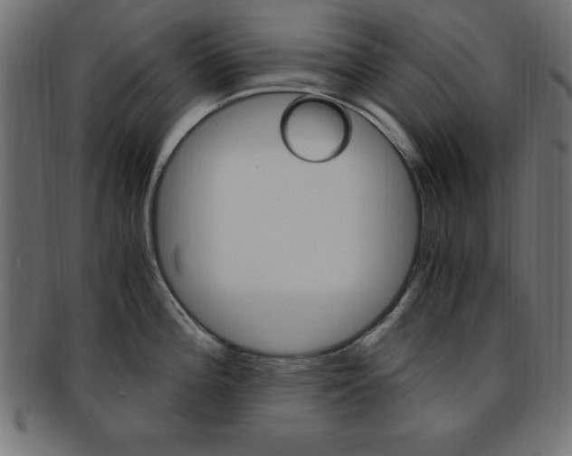 X0000094081196200710190911